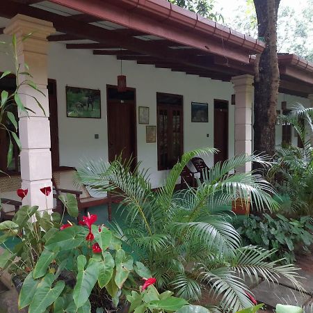 סיגירייה Sigiri Jungle Villa מראה חיצוני תמונה