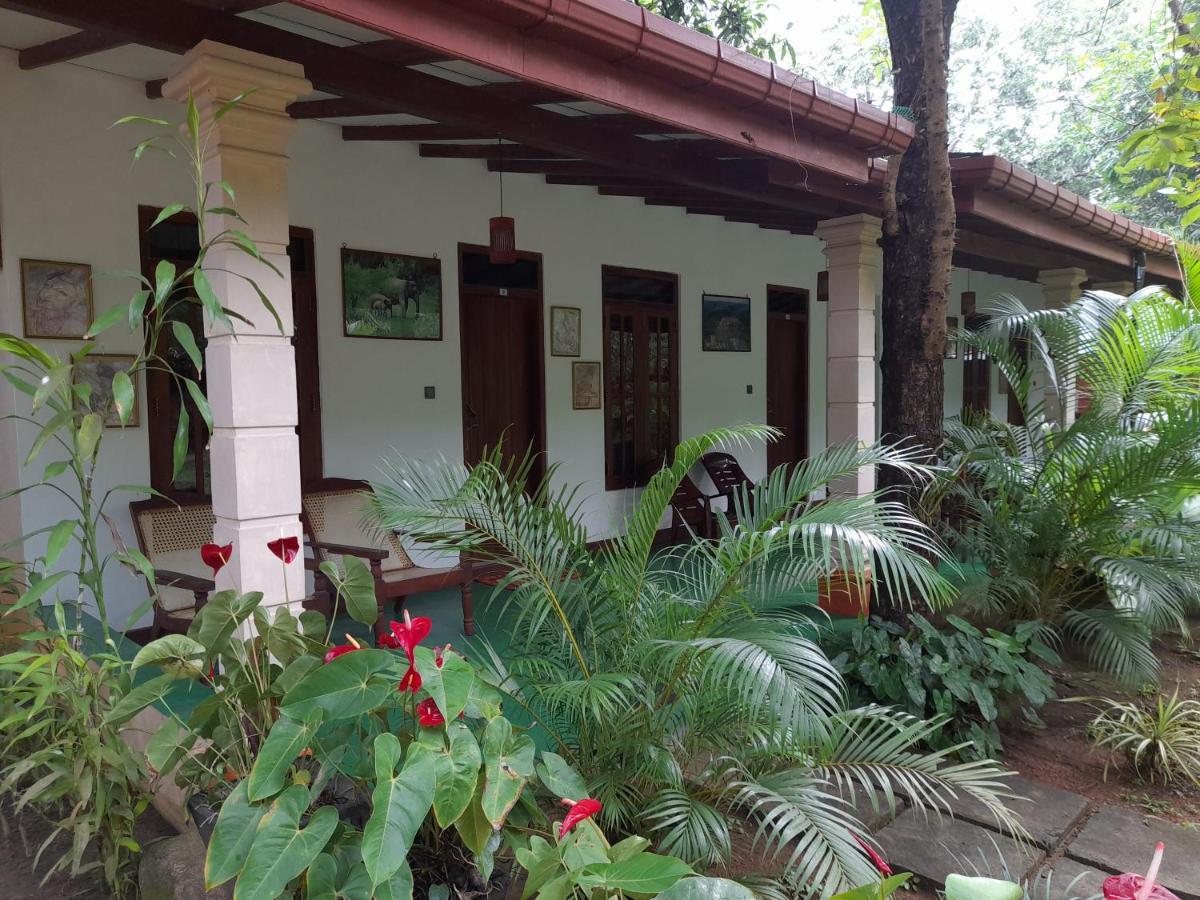 סיגירייה Sigiri Jungle Villa מראה חיצוני תמונה
