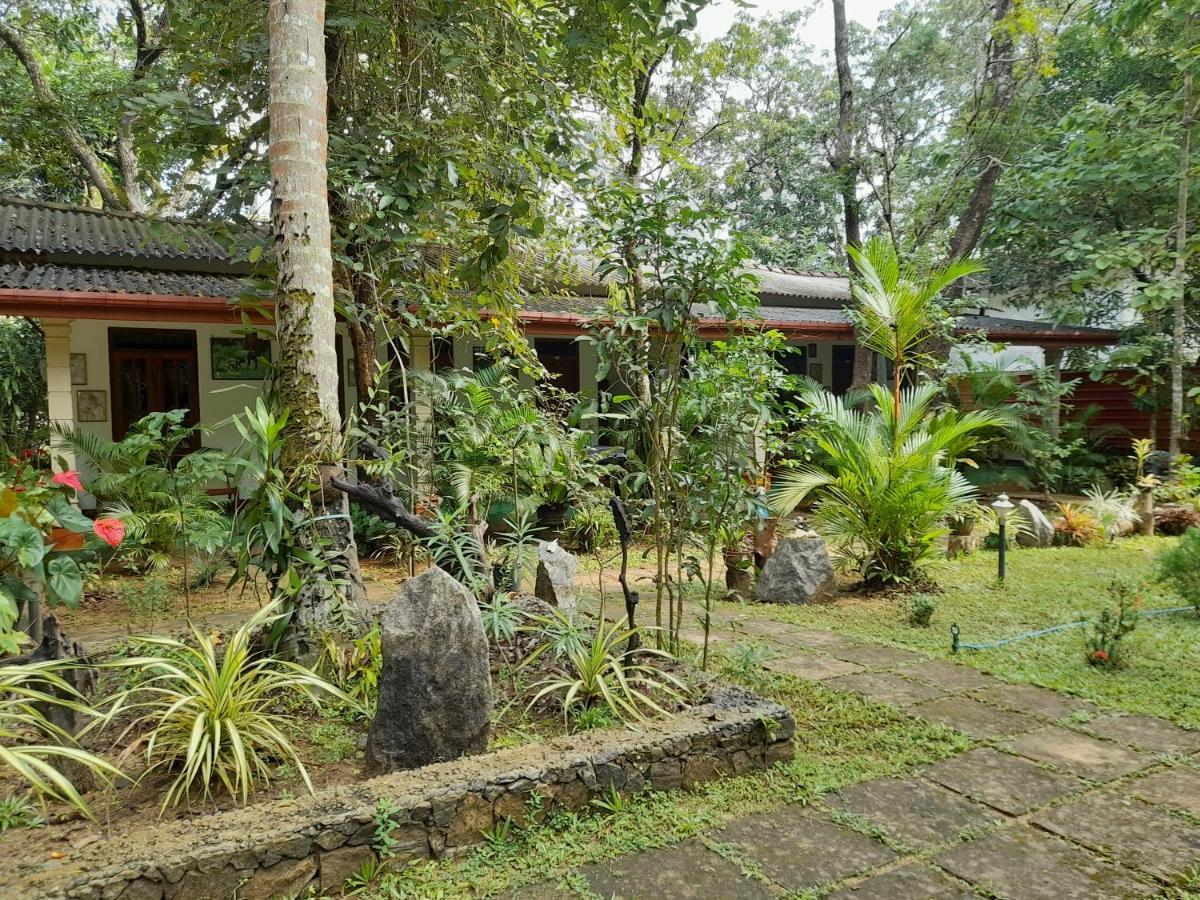 סיגירייה Sigiri Jungle Villa מראה חיצוני תמונה