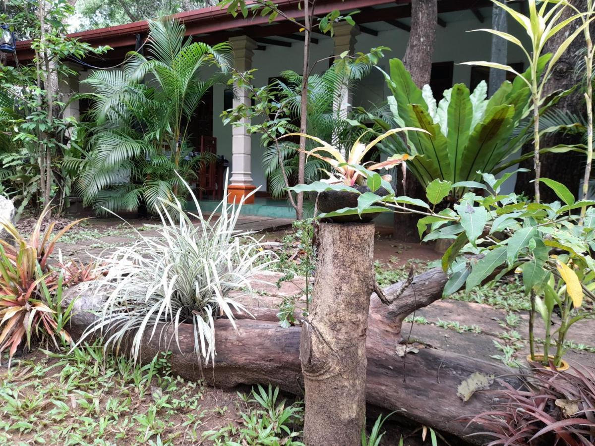 סיגירייה Sigiri Jungle Villa מראה חיצוני תמונה